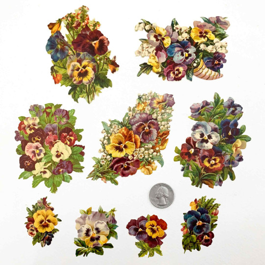Beautiful Pansies Loose Flowers Paper Scrap Pack